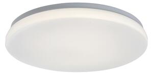 Rabalux 77140 - Plafoniera LED per il bagno con sensore LOWAR 24W/230V 4000K IP44