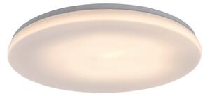 Rabalux 77135-LED Plafoniera da bagno LOWAR LED/36W/230V IP44 3000/4000/6000K