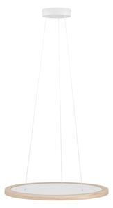 Eglo 390297 - Lampadario a sospensione con filo LED dimmerabile DEHESA LED/36W/230V 4000K
