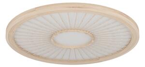 Eglo 390296 - Plafoniera LED dimmerabile DEHESA LED/36W/230V 4000K