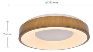 Brilagi - Plafoniera LED DORIA LED/24W/230V