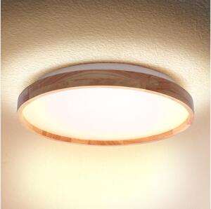 Brilagi - Plafoniera a LED ALSON LED/24W/230V rovere