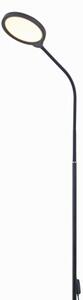 Lampada da terra dimmerabile a LED 2in1 LED/10W/230V 3000-4500-6500K nero