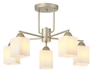Lampadario a plafone 5xE27/60W/230V