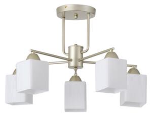 Lampadario a plafone 5xE27/60W/230V