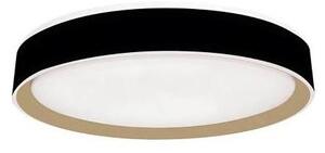Plafoniera LED dimmerabile con controllo vocale OPAL LED/48W/230V + +TC