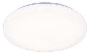 Plafoniera LED dimmerabile con controllo vocale OPAL LED/48W/230V + +TC
