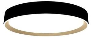 Plafoniera LED dimmerabile con controllo vocale OPAL LED/48W/230V + +TC