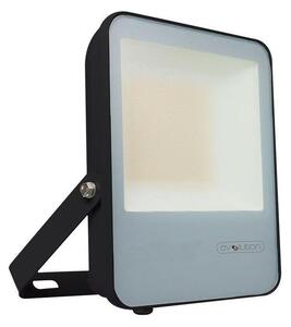 Riflettore LED LED/30W/230V 6400K IP65 nero