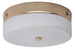 Elstead TAMAR-F-M-PG-Plafoniera LED da bagno TAMAR 1xGX53/5,7W/230V IP44