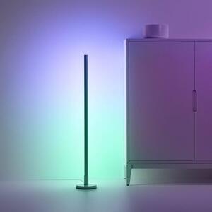 WiZ piantana LED Pole