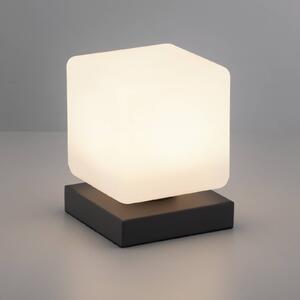 Paul Neuhaus Lampada LED da tavolo Dadoa, dimming, antracite
