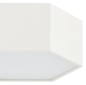 Argon 8781 - Plafoniera LED LIBERO LED/12W/230V 3000K bianco