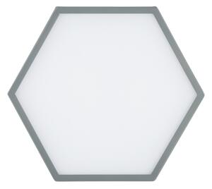 Argon 8784 - Plafoniera LED LIBERO LED/12W/230V 3000K grigio