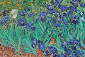 Posters, Stampe Vincent van Gogh - Les Irises