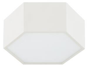 Argon 8781 - Plafoniera LED LIBERO LED/12W/230V 3000K bianco