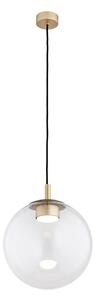 Argon 8828 - Lampadario a sospensione con filo SACRAMENTO 1xGX53/8W/230V limpido/oro