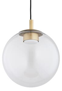Argon 8828 - Lampadario a sospensione con filo SACRAMENTO 1xGX53/8W/230V limpido/oro