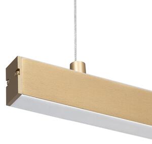 Argon 8836 - Lampadario LED a sospensione con filo MIAMI LED/37W/230V 3000K oro