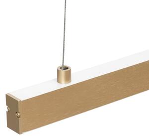 Argon 8836 - Lampadario LED a sospensione con filo MIAMI LED/37W/230V 3000K oro