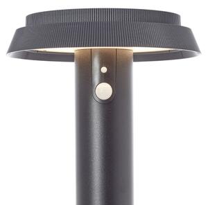 Brilliant - Lampada solare LED con sensore ALVERO LED/4W/3,7V 70 cm IP44 nero