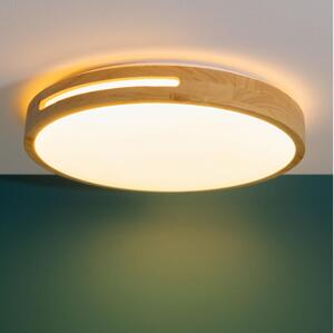 Brilliant - Plafoniera LED dimmerabile WOODBURY LED/24W/230V diametro 39 cm