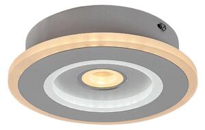 Rabalux 6959 - Plafoniera LED TANELI LED/20W/230V 3000/4000/6000K