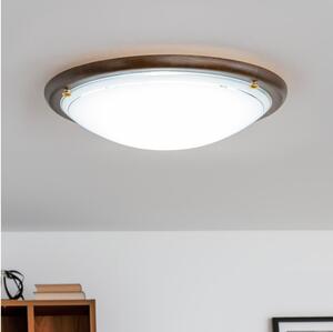Rabalux 5427 - Plafoniera UFO 2xE27/60W/230V