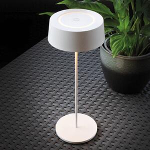 Eco-Light Lampada LED tavolo accu Cocktail, dimming, bianco