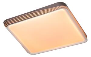 Rabalux 71166 - Plafoniera LED DRUZOR LED/40W/230V 3000K