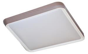 Rabalux 71166 - Plafoniera LED DRUZOR LED/40W/230V 3000K