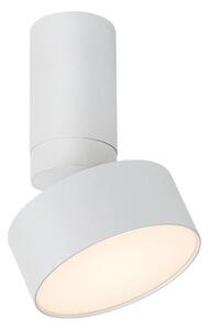 Rabalux 71326 - Plafoniera LED OVIDIA LED/10W/230V 3000K bianca