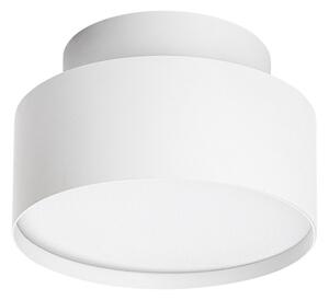 Rabalux 71325 - Plafoniera LED OVIDIA 24W/230V 3000K bianco