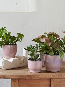 Portavaso Knabstrup