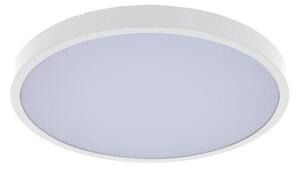 Rabalux 71428-Plafoniera LED dimmerabile da bagno ALENZO LED/24W/230V IP44 bianco + +TC