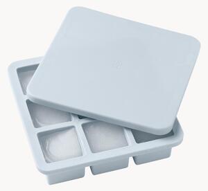 Vassoio per ghiaccio con coperchio Freeze