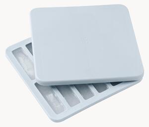 Vassoio per ghiaccio con coperchio Freeze