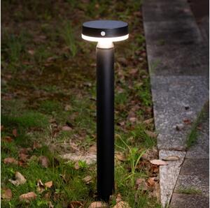 Zuma Line PT33613 - Lampada solare LED CARLI LED/4,5W/2000 mAh IP44 nero