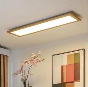 Brilagi - Plafoniera LED SLIMFRAME WOOD LED/58W/230V 124x34 cm marrone