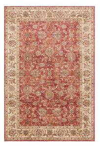 Tappeto rosso 160x220 cm Raja – Asiatic Carpets