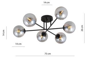 Lampadario a plafone ROMA 6xE14/10W/230V nero/fumé