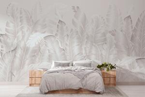 Carta da parati Gruppo di piume bianche, Carta da parati Tropici della Foresta, Carta da parati popolare, w01481 - Tapeko.it