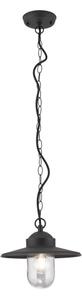 Orion AL 11-1318 - Lampada a sospensione da esterno EDWARD 1xE27/60W/230V IP44 antracite