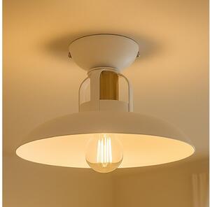 Brilagi - LED Lampadario a plafone FLAMENGO 1xE27/60W/230V bianco