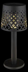Globo 36631 - Lampada LED solare SOLAR LED/0,06W/3,2V 3000K IP44 nero