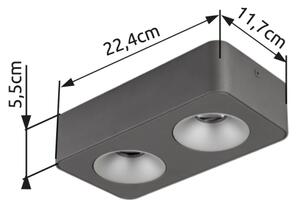 Globo 43100-2 - Plafoniera LED HANGARAU LED/11W/230V 11,7x22,4 cm