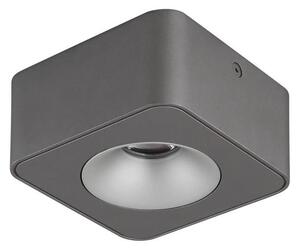 Globo 43100-1 - Plafoniera LED HANGARAU LED/6,5W/230V 11,7x11,7 cm