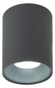 Brilagi - Faretto TRINE 1xGU10/30W/230V antracite