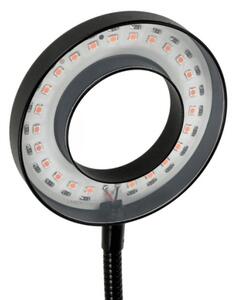 Lampada da tavolo LED Stm flex con clip per piante VITARO 2xLED/4W/230V nera