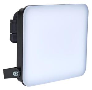 Brilagi - Riflettore LED ELARA PRO LED/50W/230V IP65